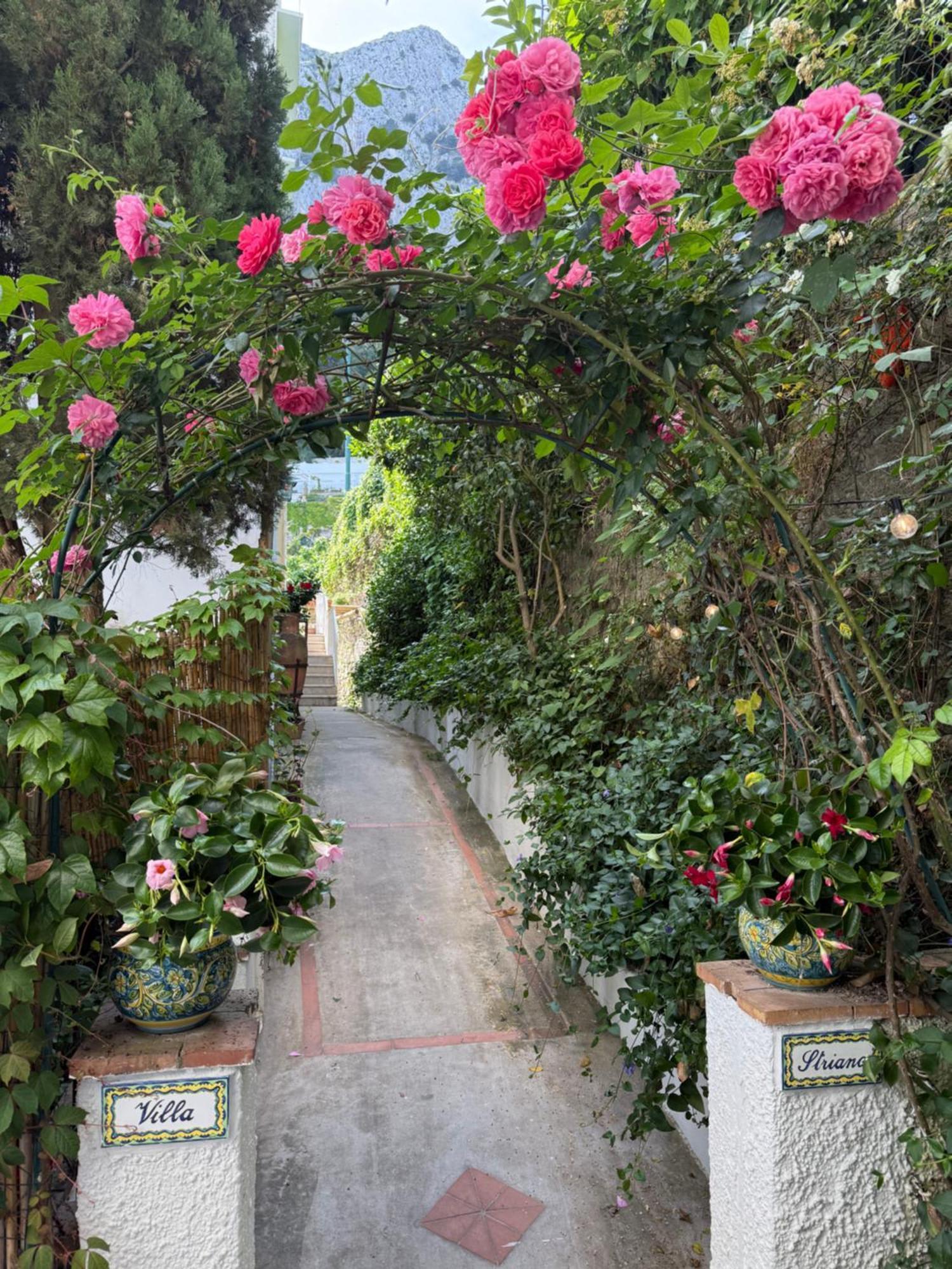 Striano - - Garden&art